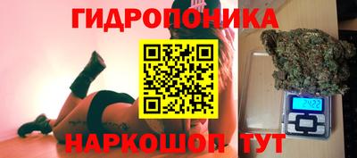 дмт Камышлов