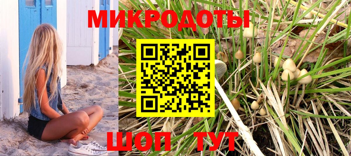 Псилоцибиновые грибы мицелий Кстово